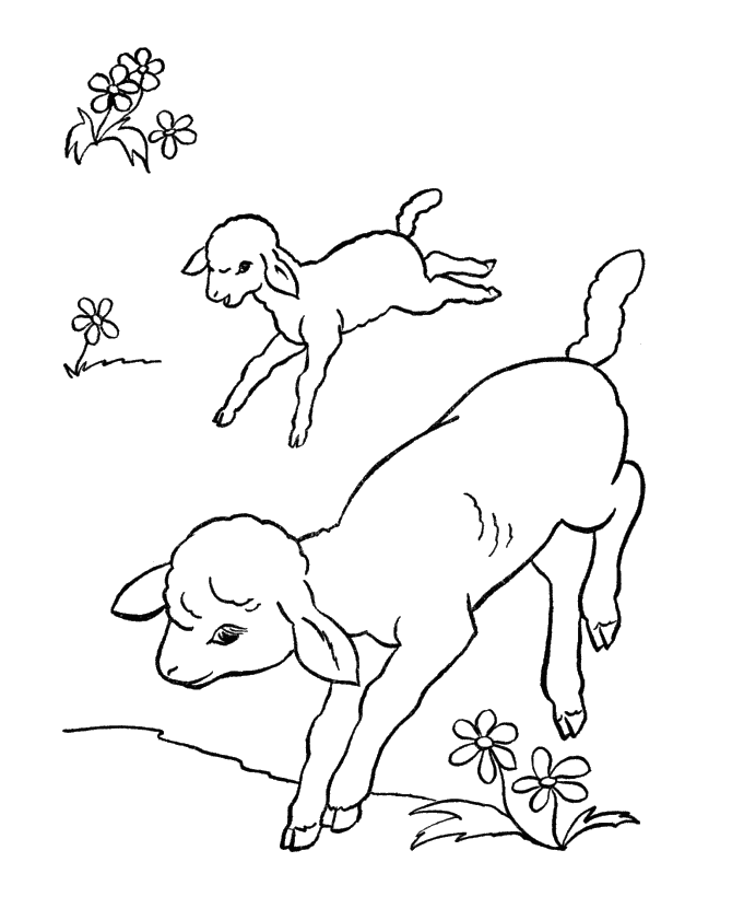 imageedit_3_3360806573